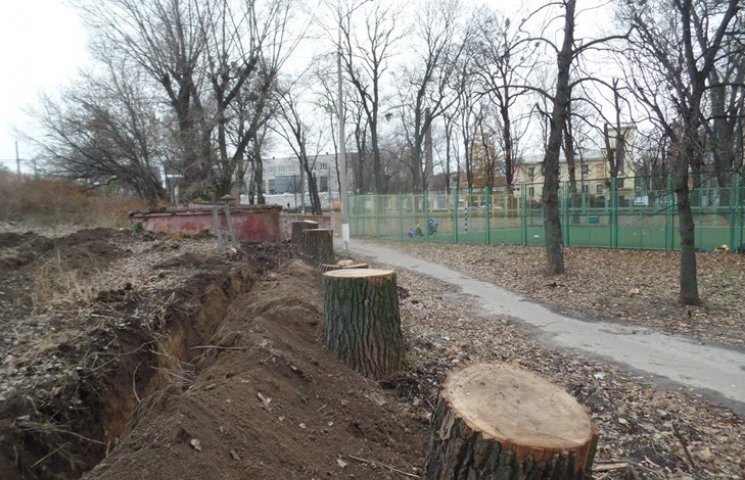 У Хмельницькому парку вирубують дерева…