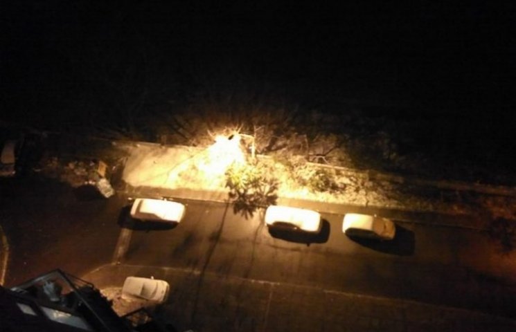 Львов засыпает снегом (ВИДЕО, ФОТО)…