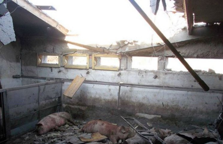 Трагедия возле Авдеевки: террористы унич…