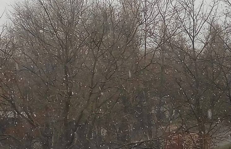 В Одессу пришел первый снег (ФОТО)…