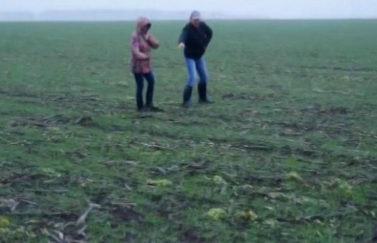 На России аграрии считают мышей на полях…