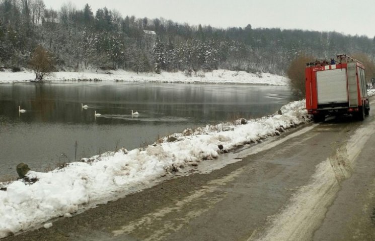 На Дунаєвеччині врятували лебедів…