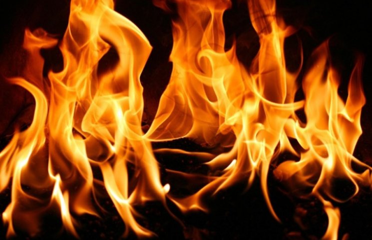 В Сумах пожежу в теплиці гасили дев’ять…