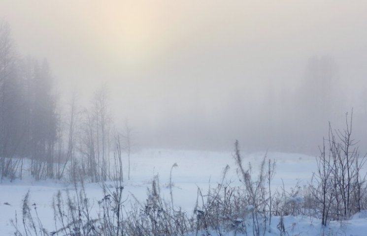 Погода на завтра: В Україні туман, мокри…
