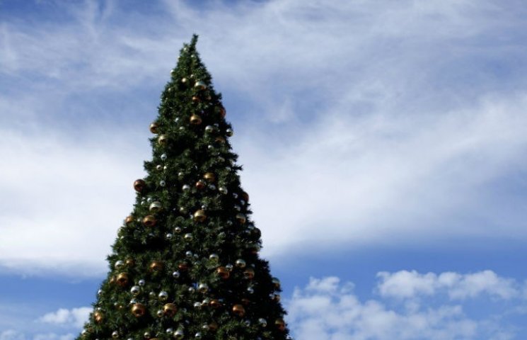 Трансфер новогодней елки на Софийскую пл…