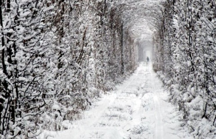Как выглядит "тоннель любви" зимой (ФОТО…
