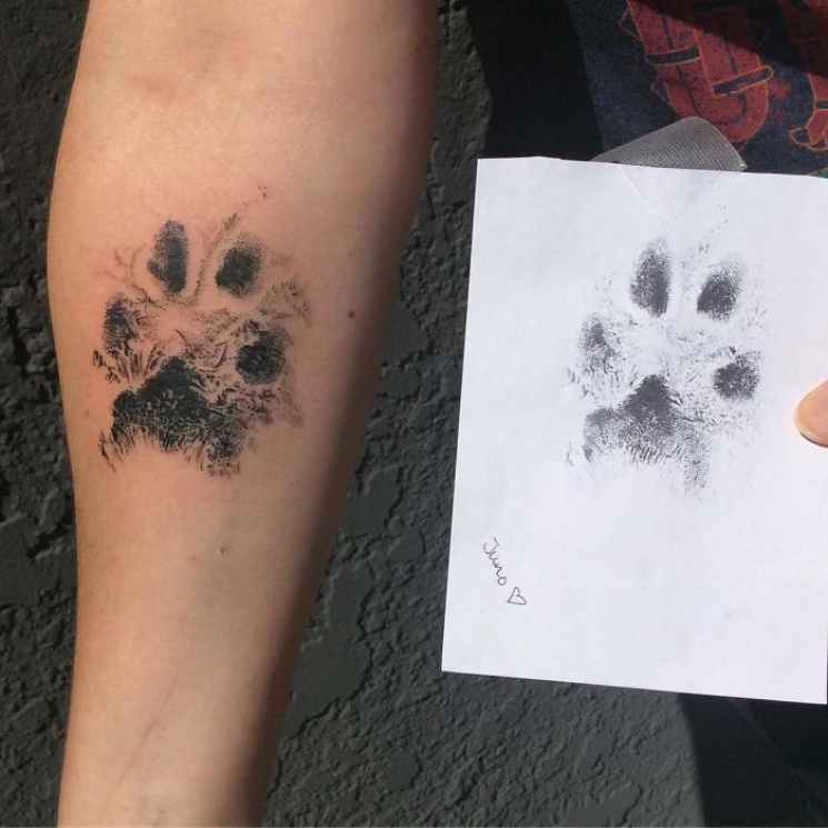 Татуировки для собак