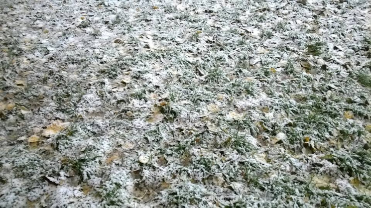 Подарок ноября: Киев накрыл первый снег…