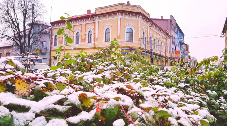В Ужгороді кадрують білий сніг на зелено…