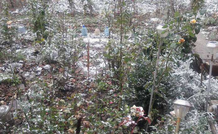 У Чернівцях випав перший сніг (ФОТО)…