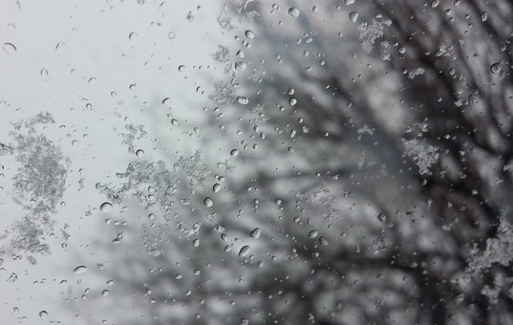 Пригород Киева завалило снегом (ФОТО)…
