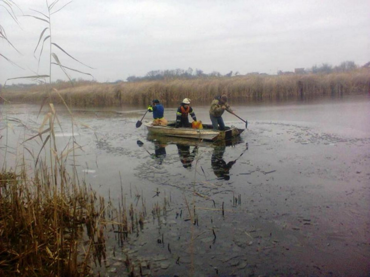 На Дніпропетровщині рятували лебедів із…