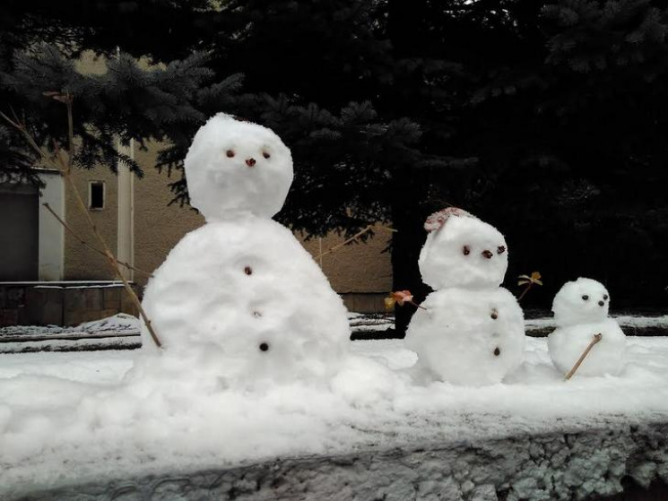 Львівщину засипає снігом…