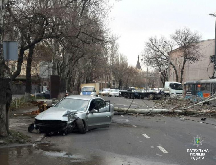 В Одесі п&#039;яний водій врізався у дер…