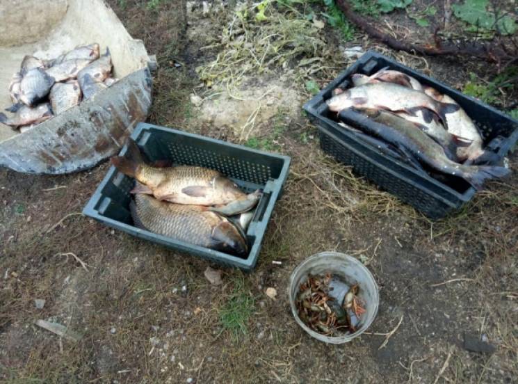На Харківщині у браконьєрів забрали риби…