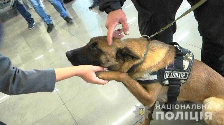 В одеському аеропорту собаки будуть допо…