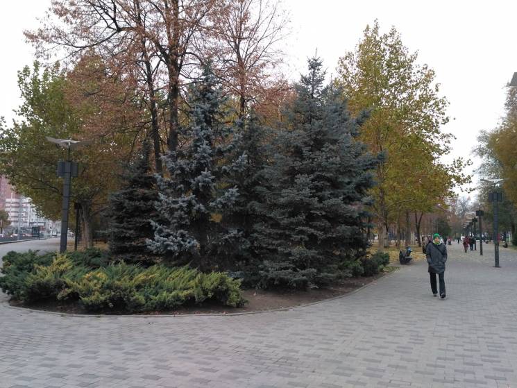 В Днипро пришла настоящая зима…