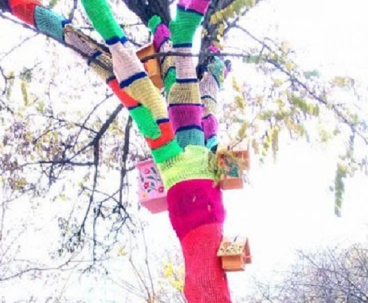 В Киеве деревья "одели" разноцветные сви…