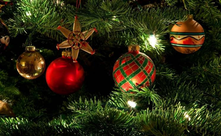 Майже новорічне: На Тернопільщині намага…