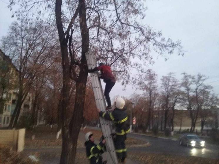 Рятувальники на Дніпропетровщині знімали…