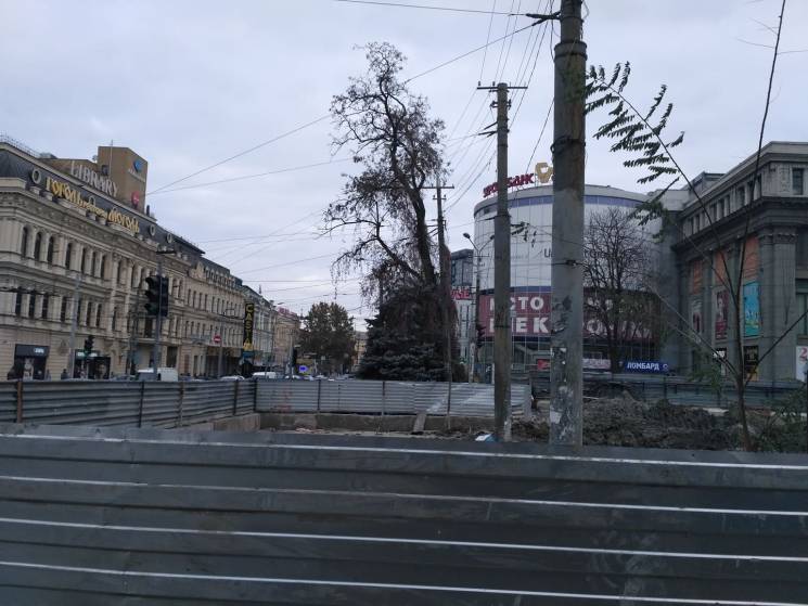 В центре Днипра метростроители спилили е…