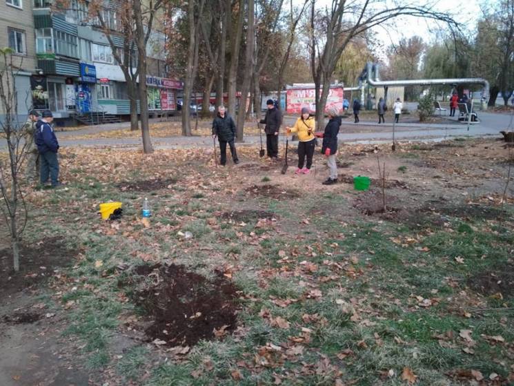 Жители Днипра высадили деревья на расчищ…