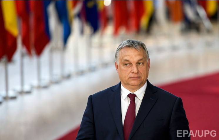 Демарш закарпатських угорців: Як Орбан в…