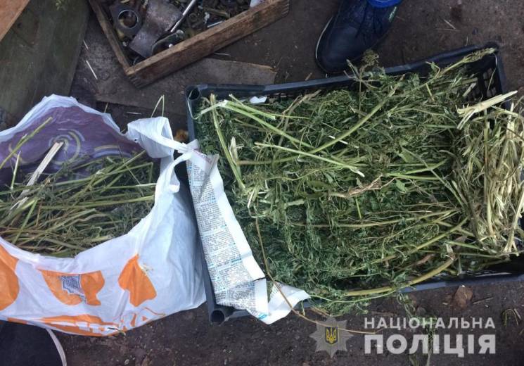 Обріз і 10 кг марихуани: У жителя Кропив…