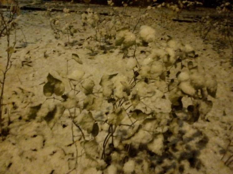 На Одещині очікують сніг та ожеледицю…