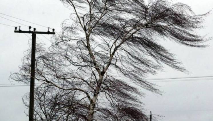 Негода на Запоріжжі: У Мелітополі вітер…