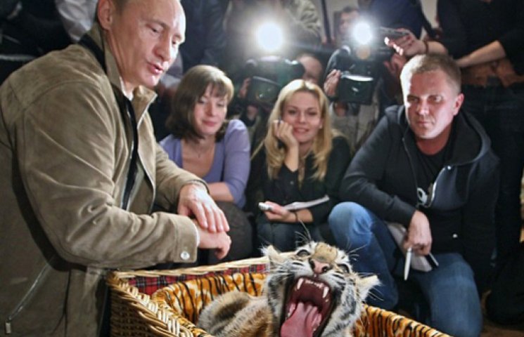 Втечу тигра Путіна до Китаю пояснили бро…