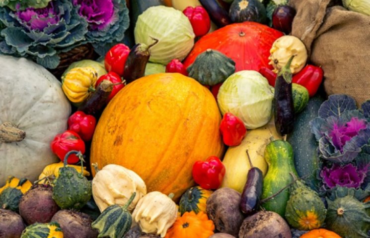 Найкращі джерела вітамінів у жовтні…