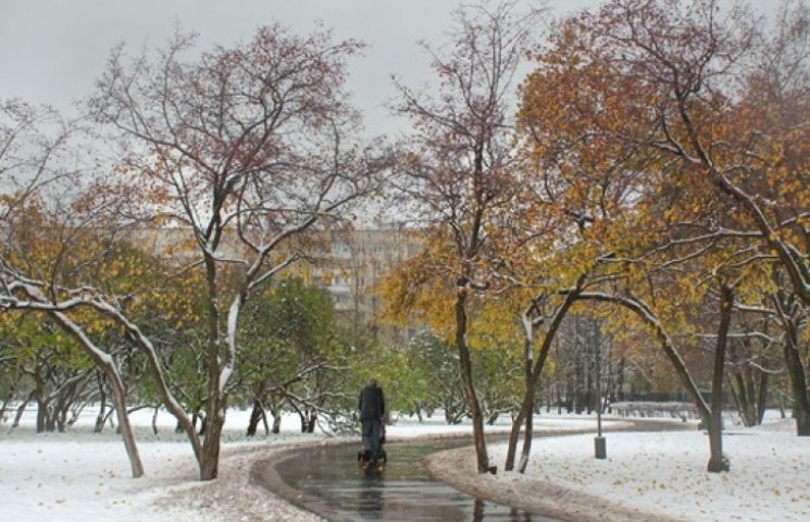 В Москве выпал первый снег…