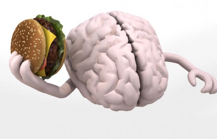 Ученые обнаружили в мозге счетчик калори…