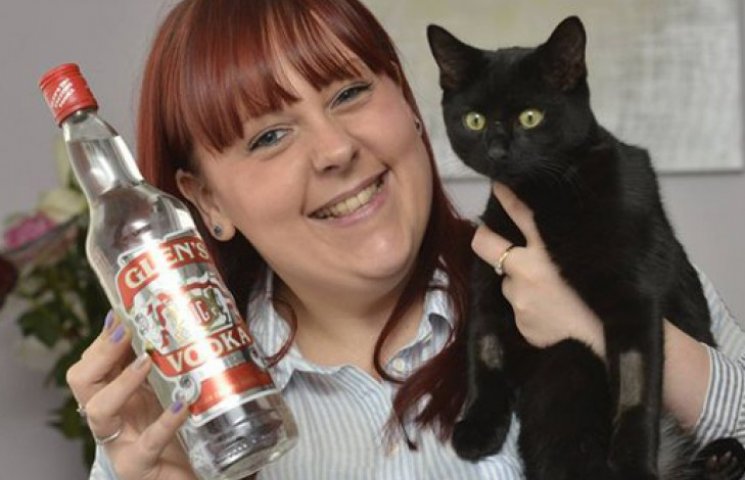 Кошке спасли жизнь, напоив ее водкой…