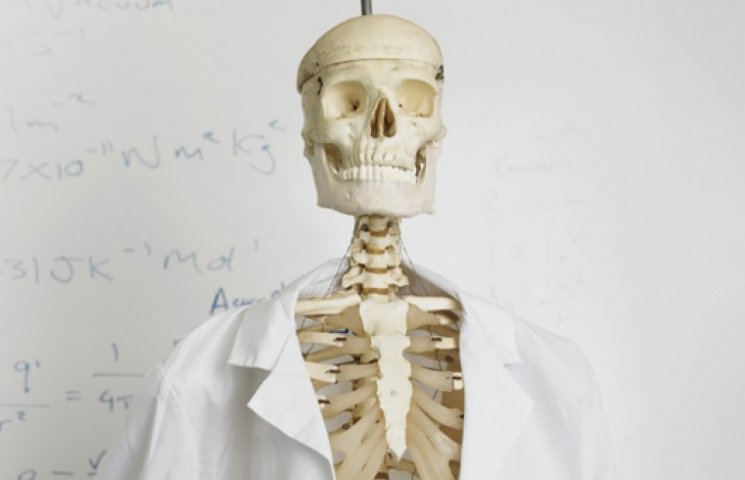В румынской школе анатомию изучают по ск…