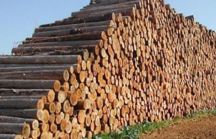 Москаль порадив деревообробникам заявити…