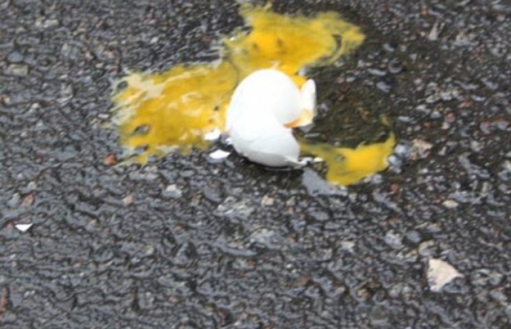 В Ужгороді яйця тілесно пошкодили кандид…