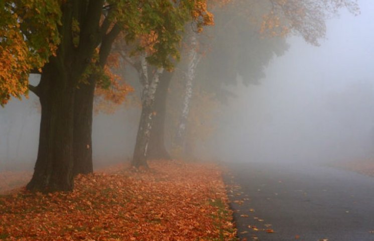 Як виглядає осінній Київ в тумані…