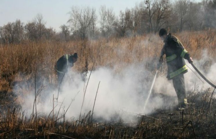 На Полтавщині гасять 20 гектарів палаючи…