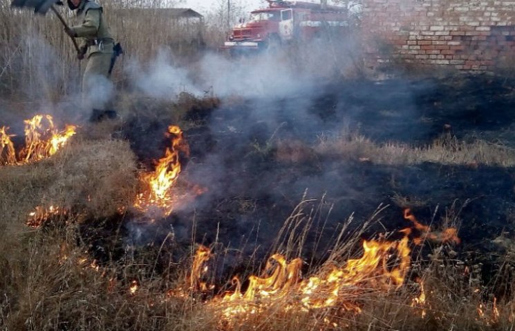 Под Киевом не утихают травяные пожары…