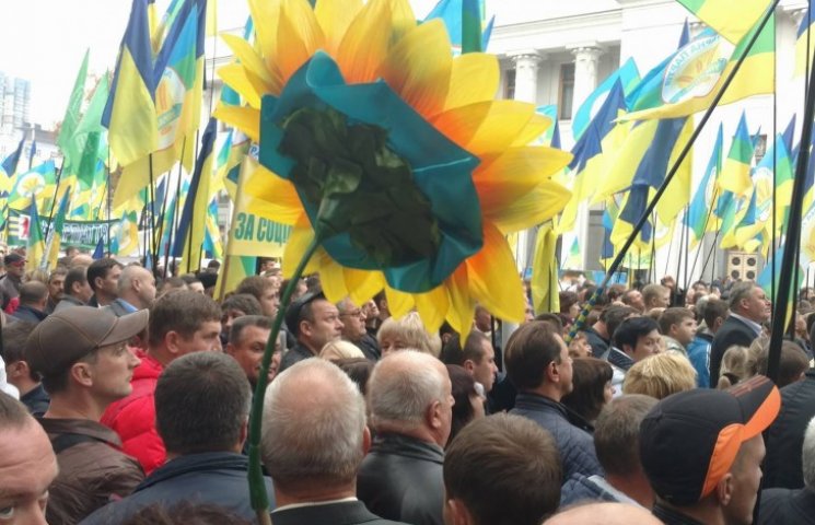 Операція "фермерські бунти": Тимошенко п…