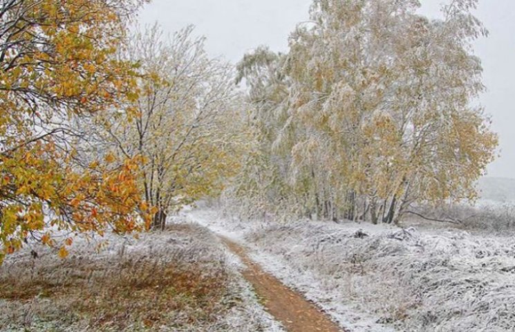 Киевлянам напрогнозировали зиму уже в ко…