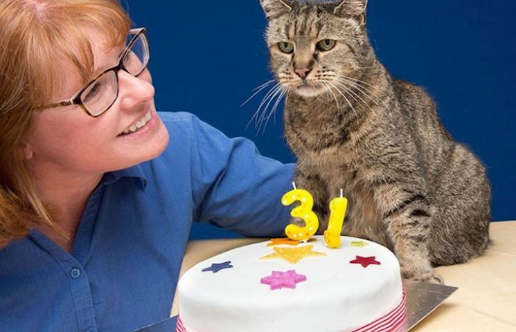Як найстаріший кіт у світі святкує своє…