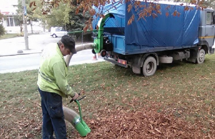 Опале листя у Тернополі прибиратимуть сп…