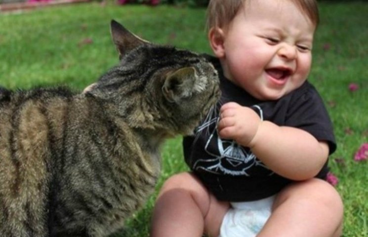 Чому коти - найкращі няньки для дітей…