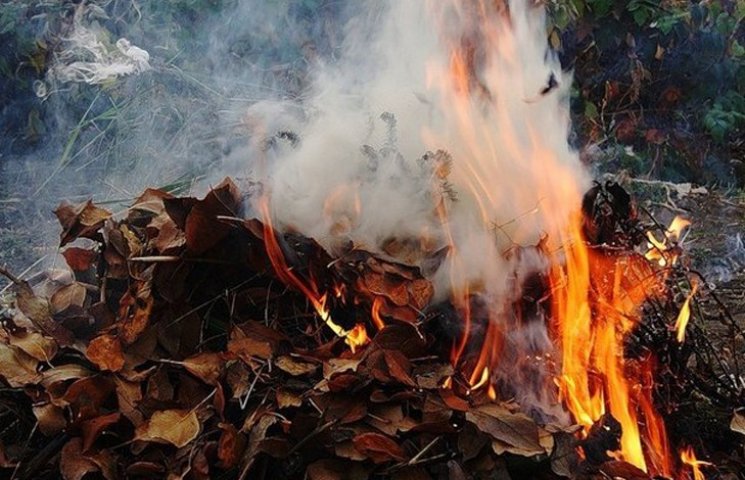 Вночі в Сумах пожежні тушили сухе листя…