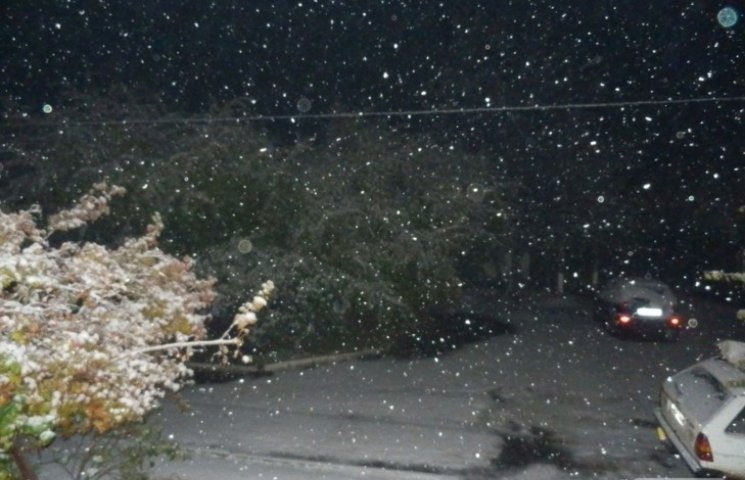 В Одесской области ночью выпал снег (ФОТ…