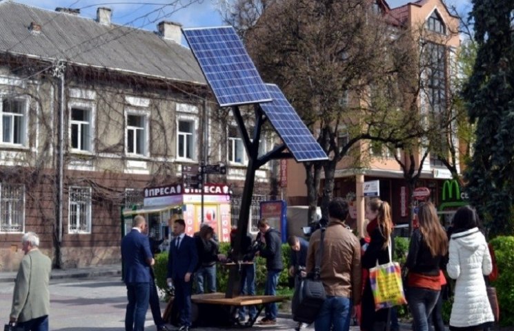 "Сонячне дерево" у Тернополі не прижилос…