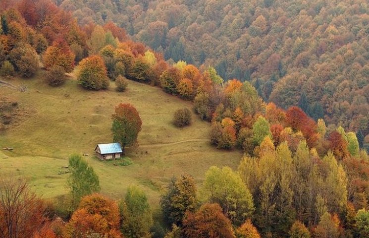 На Львівщину прийшла золота осінь…